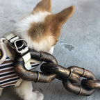 Dog wearing a realistic Halloween chain leash